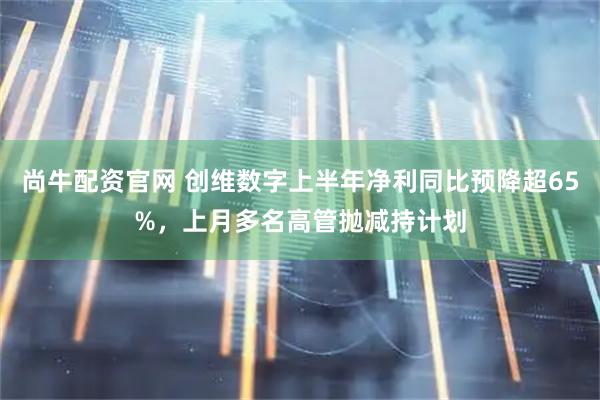 尚牛配资官网 创维数字上半年净利同比预降超65%,上月多名高管抛减持计划