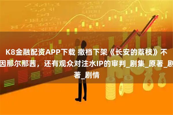 K8金融配资APP下载 撤档下架《长安的荔枝》不仅因那尔那茜，还有观众对注水IP的审判_剧集_原著_剧情